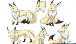 狐狸 动漫,探寻动漫世界中的神秘狐狸传说