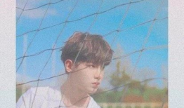 沈腾爆料吃瓜事件真相,吃瓜事件背后的真相大起底